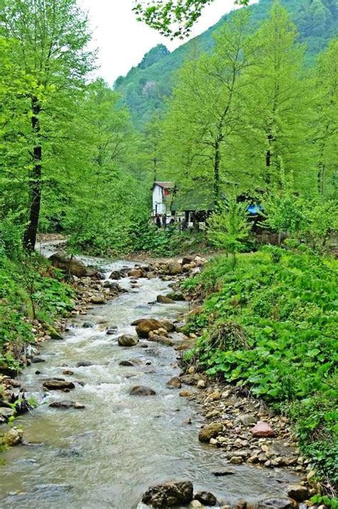 Düzce’daki Doğa Yürüyüşü yollar