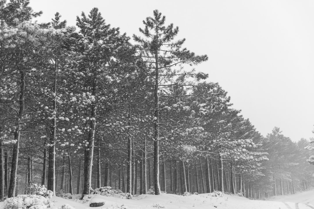 İzmir’daki Doğa Yürüyüşü yollar