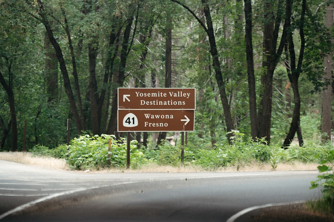 İzmir’de Gezilecek Yerler ve Yemek Kültürü