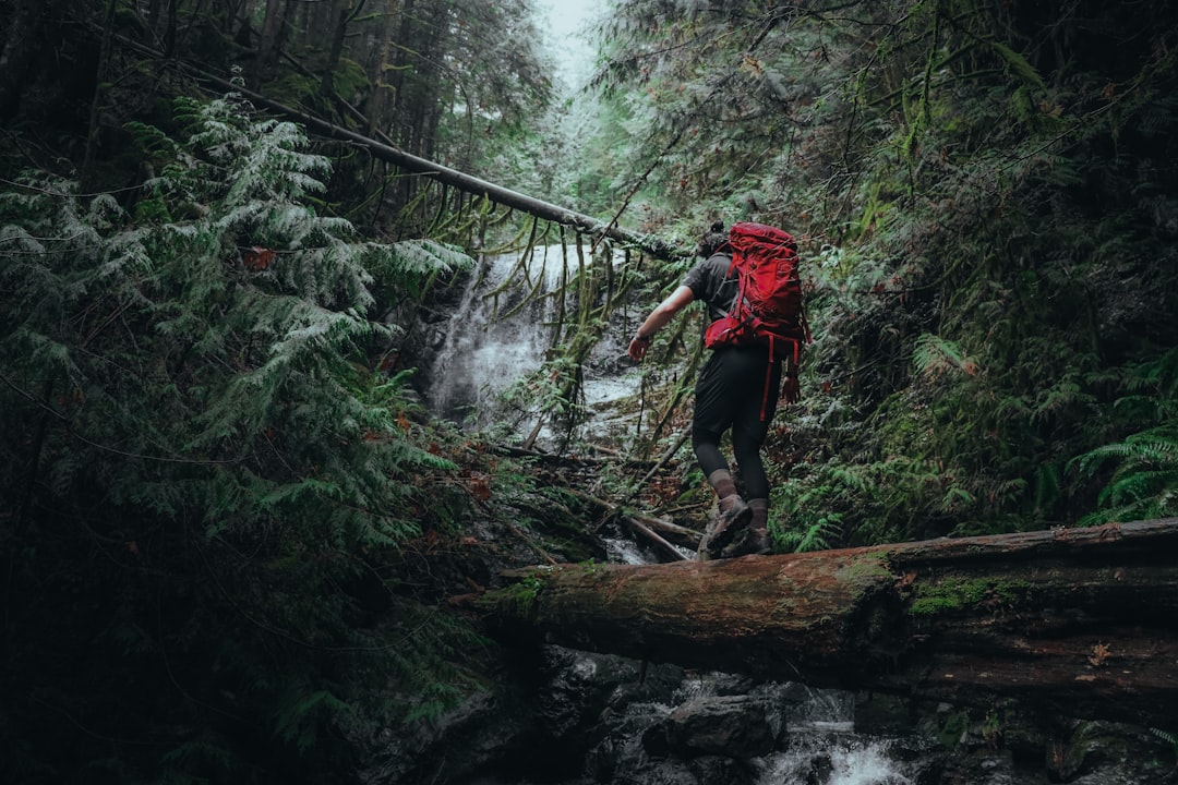 Çambaşı Yaylası Kamp Alanları