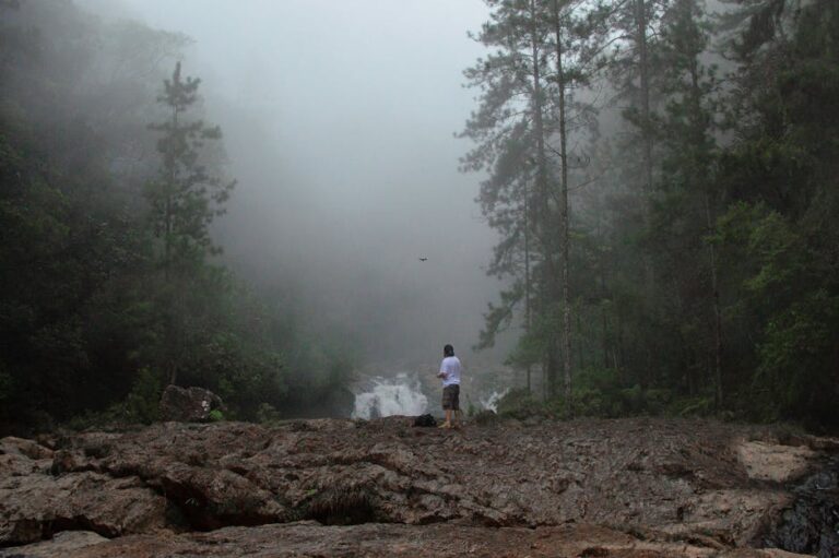 Huser Yaylası Kamping