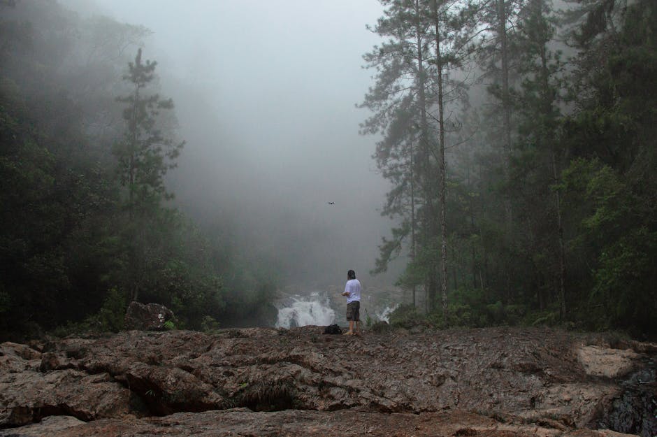 Huser Yaylası Kamping