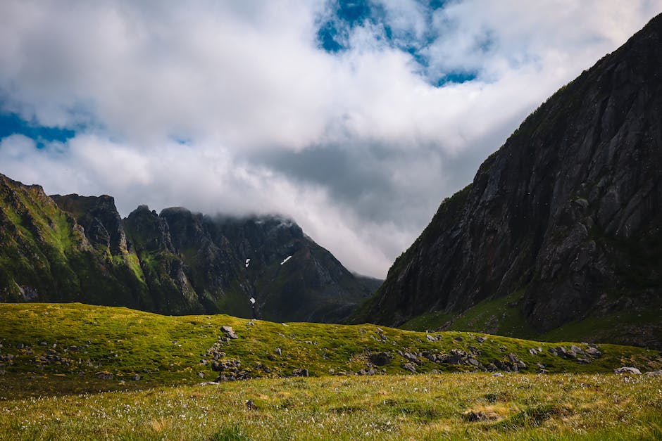 Arsiyan Yaylası Kamping